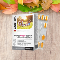 ZANTIVA 비타민B컴플렉스 판토텐산 나이아신 비오틴 엽산 독일비타민B 2개월분 비타민비