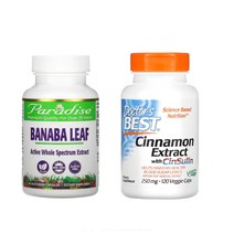 파라다이스 허브 바나바 잎+닥터스 신술린 시나몬 계피 250mg