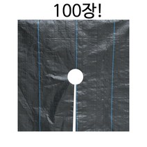 농업용 부직포 농사용 제초 매트 비닐하우스 롤부직포, 천공 잔디 증거 천 0.6x0.6m 100매