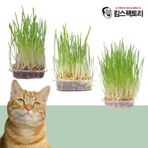 고양이 캣그라스키우기 재배키트 갯닢 고양이풀 키우기 귀리씨앗 캣글라스 영양간식, 08. 재배세트 10회분(보리4+귀리3+밀3)
