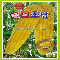 OK농장 [[옥수수] 골드초당옥수수(50립)] 옥수수씨앗 초당옥수수씨앗 골드초당옥수수씨앗 종묘 묘종 씨앗 채소씨앗 꽃씨앗(KS종묘)