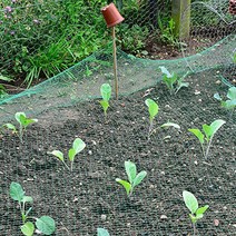 서후네 농작물 보호 촘촘한 그물 방조망 2x5m 참새 조류 피해방지, 1개
