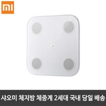 샤오미 인바디 체중계 미스케일 2세대 몸무게 스마트 가정용 전자 측정기 계산기, 샤오미 체지방 체중계 2세대 XMTZC05HM