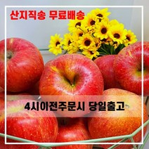 산지직송 햇사과 일품 꿀 부사 사과 충북 5kg 10kg 선물용 가정용, 선물용 정품 중소과 38~40과, 1개