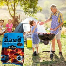 홀렌 밝은참숯 친환경 캠핑 참숯 야자숯 코코넛볼 2kg