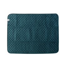 스노우라인 캠핑 전기요 + 케이스, 미드그린