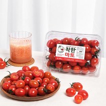 달콤한 스테비아 토마토 (당일배송), 500g x 2팩