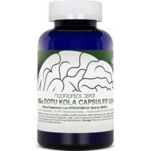 누트로픽 고투콜라 추출 120mg 90캡슐, 상품상세