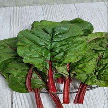 [푸드맛봄] 경기 광주 당일수확 유기농 적근대 1kg, 상세 설명 참조