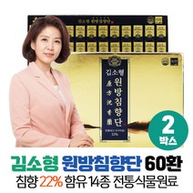 침향환 침향 22% 김소형 원방 침향단 쇼핑백포함 선물용, 2box, 60환
