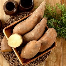22년 국내산 달콤숙성 햇 야콘, 4.야콘10kg(특품), 단품