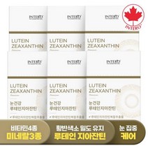 인테로 루테인 지아잔틴 눈건강 황반변성 6박스 6개월분