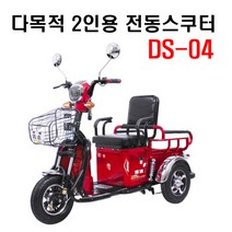 seastar 전동삼륜차 3륜오토바이 전동오토바이 DS-04 공장직영, 브라운, 13ah 리튬