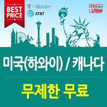 미국유심 T-Mobile AT&T 연장가능 무제한 데이터 통화 심카드 장기 유학생 미국유심칩, 1.T-Mobile(국제)플랜, 5일, 택배수령