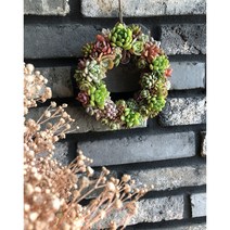 [해든아뜰리에] 특별한선물 다육리스, 캘리그라피