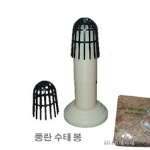 수태봉 풍란수태분망 전용봉, 수태분망 전용봉