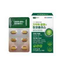 코오롱제약 징코플러스 은행잎추출물 아연 나이아신 판토텐산 비타민B6 기억력개선 폴라보놀배당체, 1박스, 30정