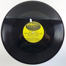 (중고LP 물세척)(알판 자켓 없음. US. ELECTRONIC. BLACKBEAT) RAZI-NATION/ THE FIRS OUTING/ 음반 상태 A