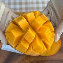 애플망고 선물세트 2kg, 1, 본상품선택