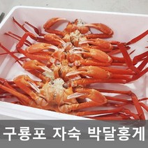 홍게찜 구룡포홍게 박달 자숙 동해안 포항 홍개 프리미엄 5마리 제철안주 온가족 영양간식