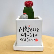 상견례선물 캘리그라피 컬러 미니화분 - 사랑스러운 며느리 & 든든한 사위, 와이드화분(+18000원), 핑크, 뒷면인쇄선택(+5000)