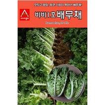 배추씨앗 비비1호 배무채(200립)