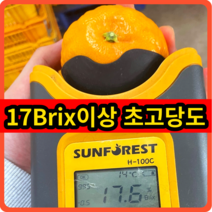 수라향 신비향 설국향 초고당도 17브릭스 제주직송, 3kg