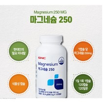(정품)GNC 마그네슘250 (695mg 120캡슐 120일분) +6개이상주문시 사은품증정, 2개