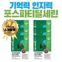 포스파티딜세린 징코 영양제 비타민 E 항산화 기능성 PS 300 혈행 개선 영양제 건강 개선 머리 에 좋은 수험생 고등학생 기억력 선물 면역력 면역 이뮨 아연 포스타딜세린