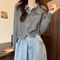 루즈핏 크롭 오버핏 베이직 간절기 봄신상 레이디스 그래니룩 스웨터 일타스캔들 남행선 꽈배기 미니 가디건 미니