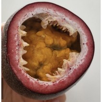 국내산 패션후르츠 500g 1kg 백향과 고창백향과 국산