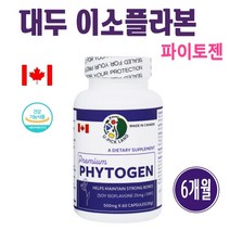 파이토젠 갱년기 여성호르몬 영양제 대두 이소플라본 식물성 에스트로겐 소이이소플라본 40대 50대 60대 중년여성 PMS Soy Isoflavones PHYTOGEN 효능 추천 캐나다, 3병, 50캡슐