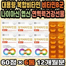 대용량 종근당건강 비타민비 나이아신 채소혼합분말 비타민B군 수험생비타민 비타민B효능 50대영양제추천 비타민B 만성피로영양제 40대영양제추천 비오틴 엽산 비타민B영양제 면역력