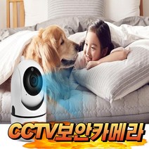 스마트 CCTV 보안 카메라 베이비캠 소형 무선 홈캠 모션감지 반려동물