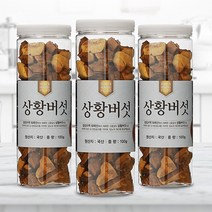 [채움팜] 국산100% 장수 상황버섯 1개월분(baumii 최상품) 1개월분, 선물용포장