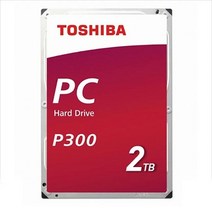 P300-2T 용산전자상가 조립컴퓨터 용량추가 2테라하드, 2TB