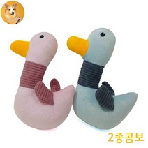 다이나 말티즈 새끼강아지 봉제장난감 토이 두뇌개발 소형견