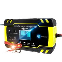 라오농 방전 12V 24V자동차 퍽셔재생기 밧데리 충전기 배터리, 12V24V 대출력개