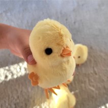 (2마리)움직이는 걸어다니는 병아리 태엽 인형 장난감, 옐로우