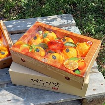 [고급이중포장]제주 한라봉 3kg(9-12수 대과 선물용) 오감만족 상큼하고 과즙미 팡팡 품격있는 선물세트!