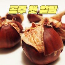 인기 고맛나루공주알밤 추천순위 TOP100 제품 리스트