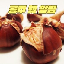 이른아침애 공주 햇 알밤 공주밤 공주알밤 공주맛밤 옥광밤 대보밤 왕밤 생밤 맛밤, 알밤2kg(대)