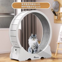 RUNCATS 무소음 간단 설치 원목 캣휠 고양이캣휠, 자체 조립XL(113*36*120), 백아이보리