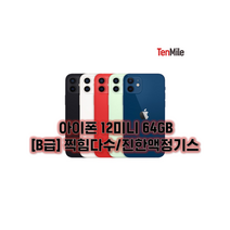 아이폰12미니 64GB/128GB/256GB 보호필름 케이스 충전기 사은품 자급제 중고폰 공기계 텐마일, 블랙, 64GB, 찍힘다수/진한액정기스