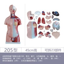 피규어, 유형 205 / 높이 45cm