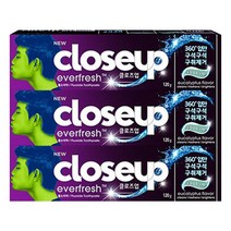 클로즈업 상쾌한 힐링 유칼립투스향 치약 120g X 3개