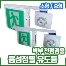 복합형피난구유도등 / 음성점멸유도등 / 피난구유도등 시청각경보기 / 벽부 천정 겸용, 소형