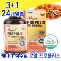 식약청 인증 식약처 인정 캐나다 직수입 로얄 프로 포 플로 폴리 폴리스 캡슐 대용량 플라 프라 보노이드 바이오 항산화 면역력 면연력 좋은 음식 식품 식풍 남성 여성 여자 중년 남자, 3+1 24개월분 - 다니마켓