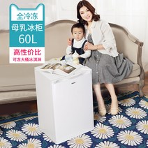 미니 소형 서랍형 가정용 음식물 쓰레기 냉동고, 60L화이트