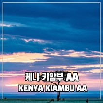 (커피생두) 102 케냐 키암부 AA CROP 2023 1kg, 1개